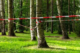 Albanka (28) ubijena u parku u Italiji