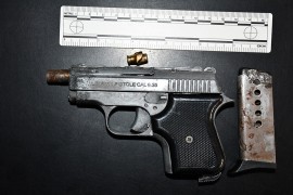 Pogledajte koliko oružja su građani Srbije predali policiji