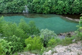 Procvjetale alge u Vrbasu
