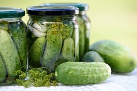 Podijeljeno 75 hiljada sadnica krastavaca kornišona