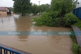 Una u Kostajnici preko noći porasla 30 centimetara