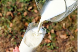 Isplaćeno 2,6 miliona KM za mlijeko