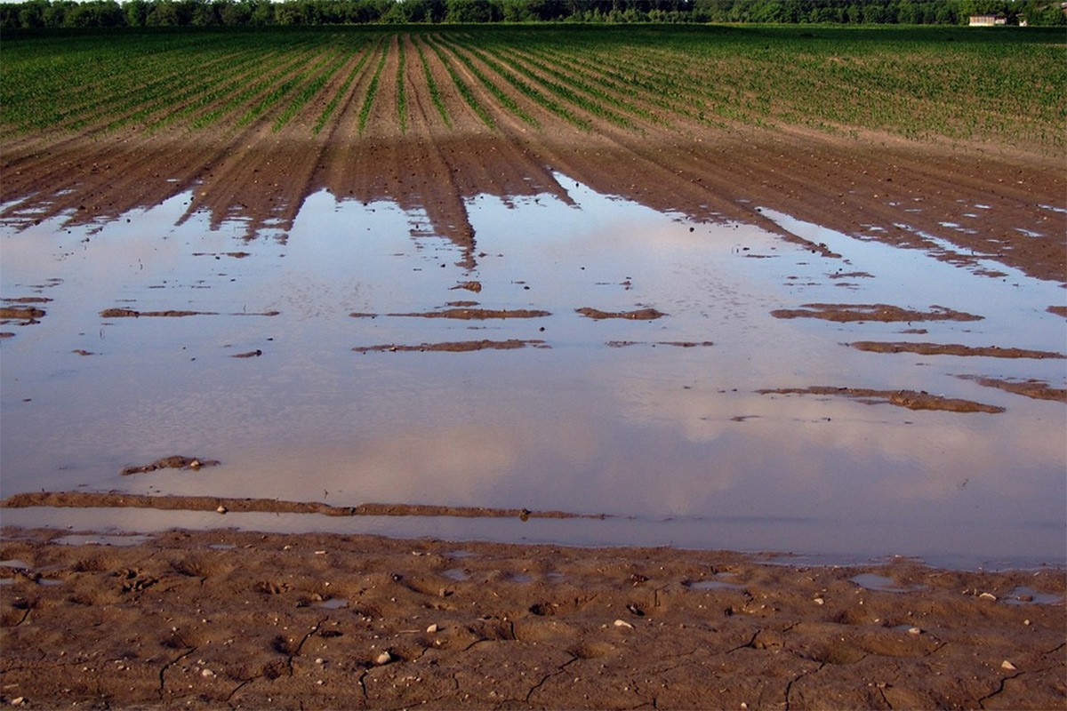 Poplave na istoku Kine, evakuisano 14.000 ljudi