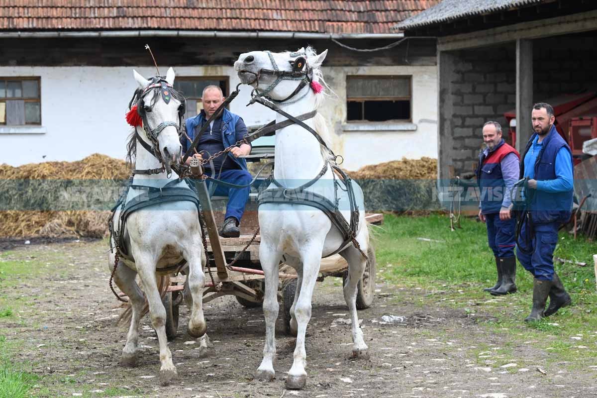 Investitori bacili oko na prnjavorsku ergelu "Vučijak"