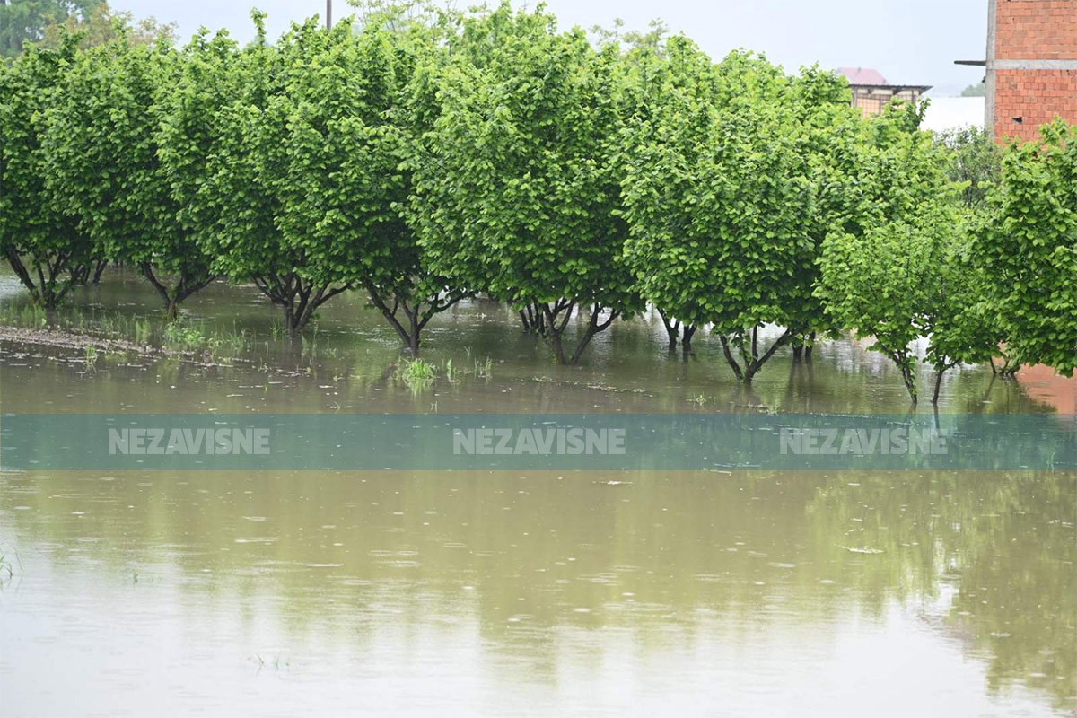 Žena na koju je palo drvo priključena na respirator