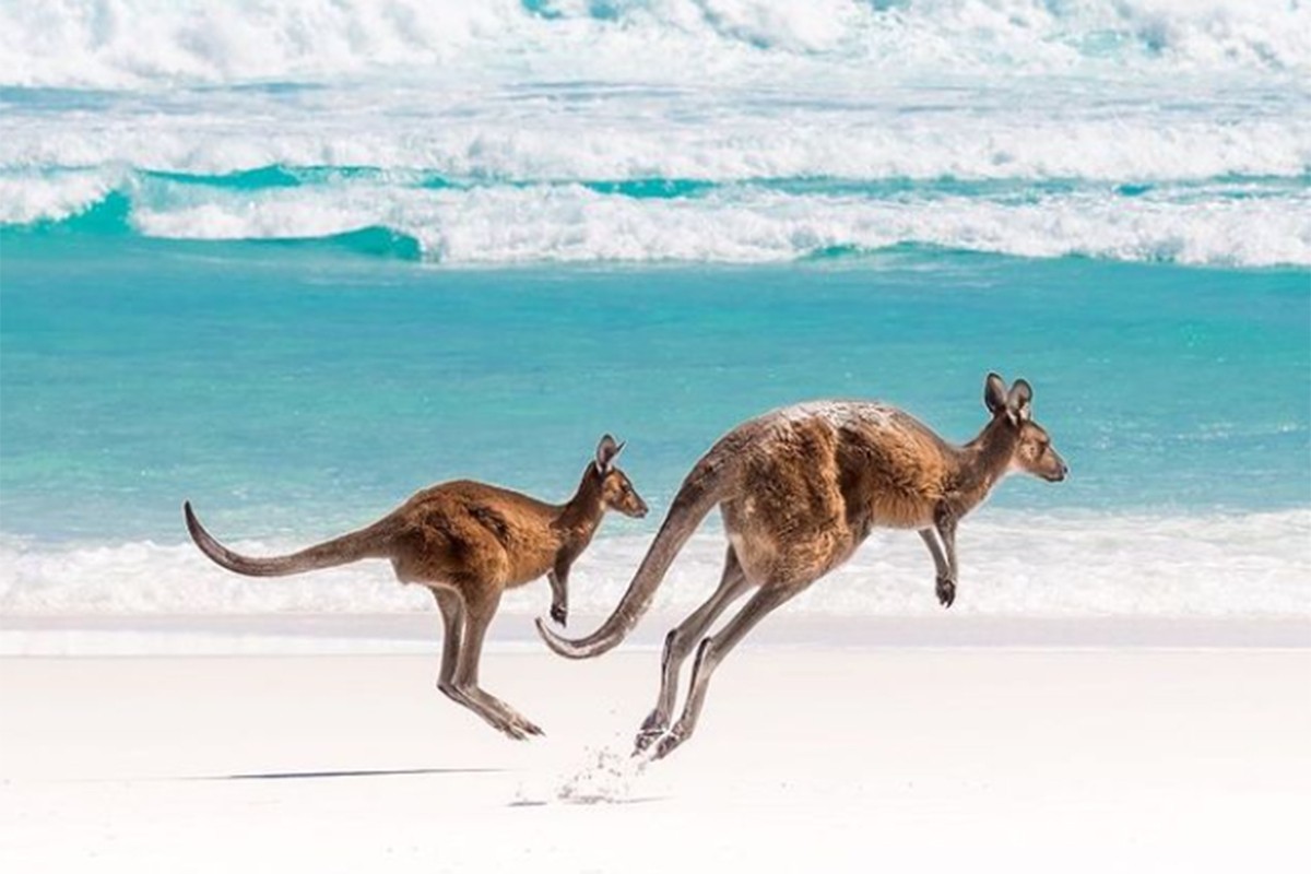 Australijska plaža Laki bej među 10 najljepših