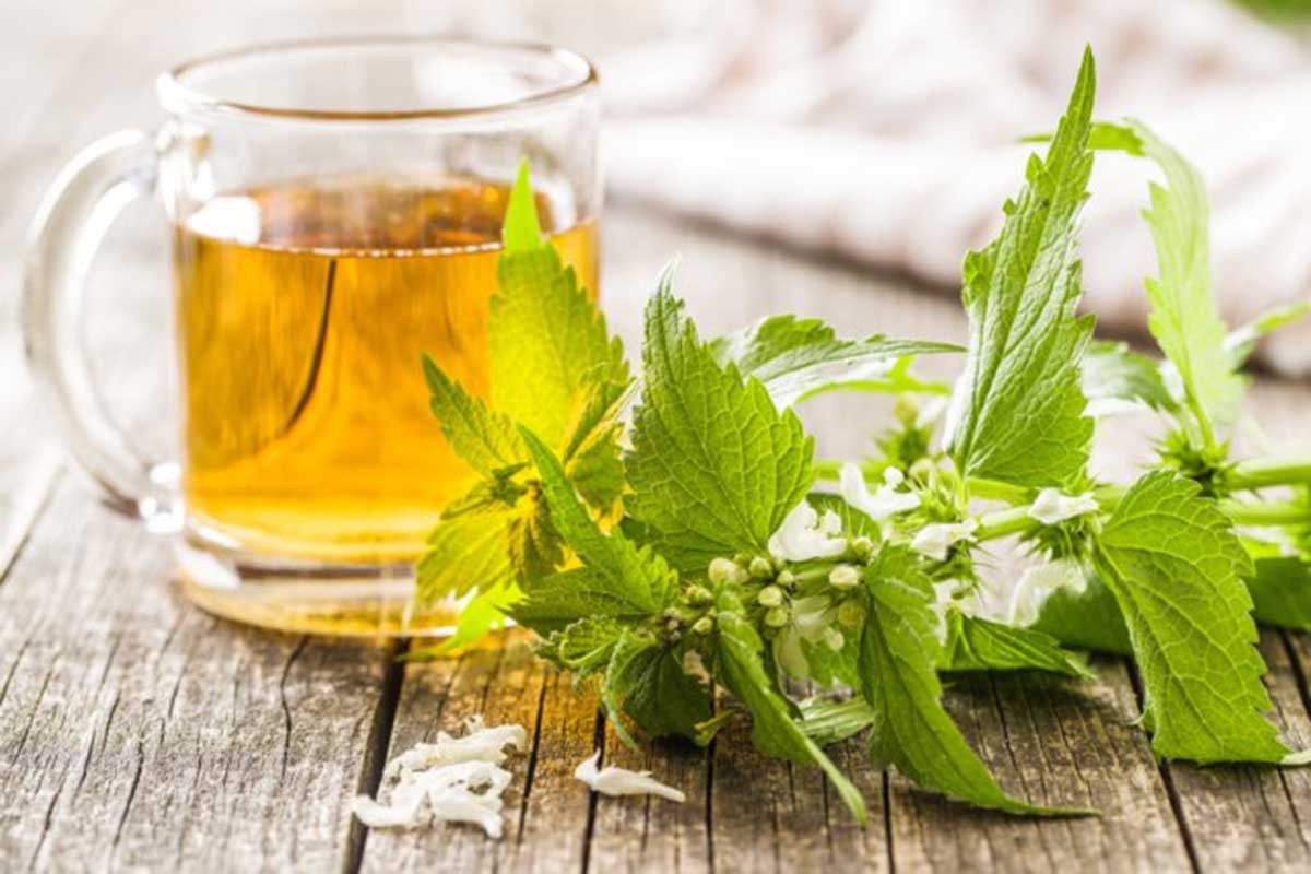 Spas za organizam: Kako napraviti sirup i čaj od koprive?