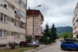 Nesvakidašnja situacija: Konj privezan u Obilićevu