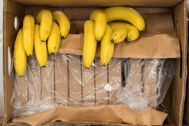 Tužilaštvo BiH o zapljeni kokaina u bananama