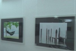 Izložba fotografija akademskog slikara Alekse Vidakovića