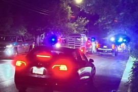 Odbjegli bik podigao cijeli grad na noge (VIDEO)