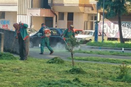Počeo drugi ciklus košenja po banjalučkim naseljima