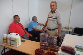Malinu treba brendirati i od nje zaraditi
