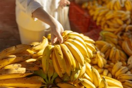 "Banana država": Kako je nastao ovaj pogrdan izraz