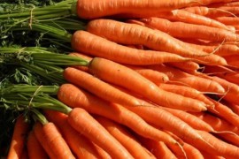 Zabranjen uvoz oko 19 tona mrkve u Srpsku