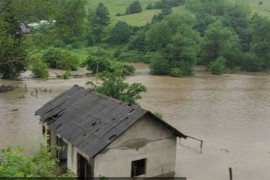 Potop u Srbiji: Vanredno u 52 opštine, evakuisano 217 ljudi