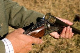 Pucao na pse koji su bili bez nadzora van dvorišta