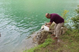 Una poribljena šaranom