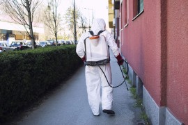 Zaprašivanje komaraca u Banjaluci naredne sedmice