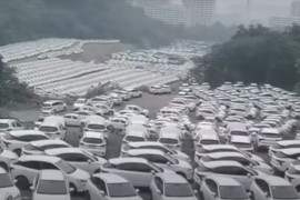 Električni automobili napušteni na ogromnim poljima (VIDEO)