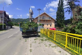 Grom udario u drvo na plaži u Banjaluci