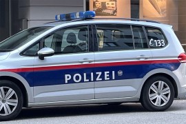 Mladić iz BiH opirao se hapšenju, povrijeđena dva austrijska ...