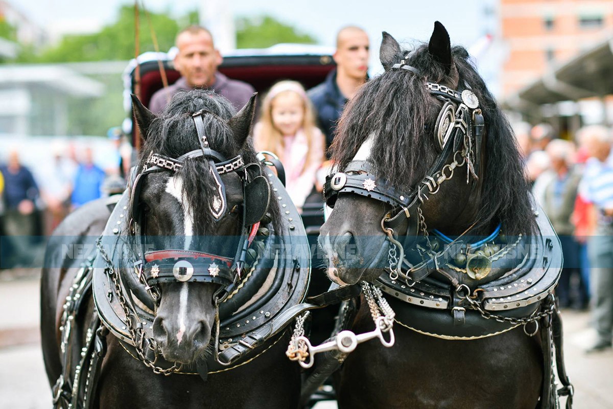Tradicionalni defile kočija i konjanika u Banjaluci (FOTO/VIDEO)