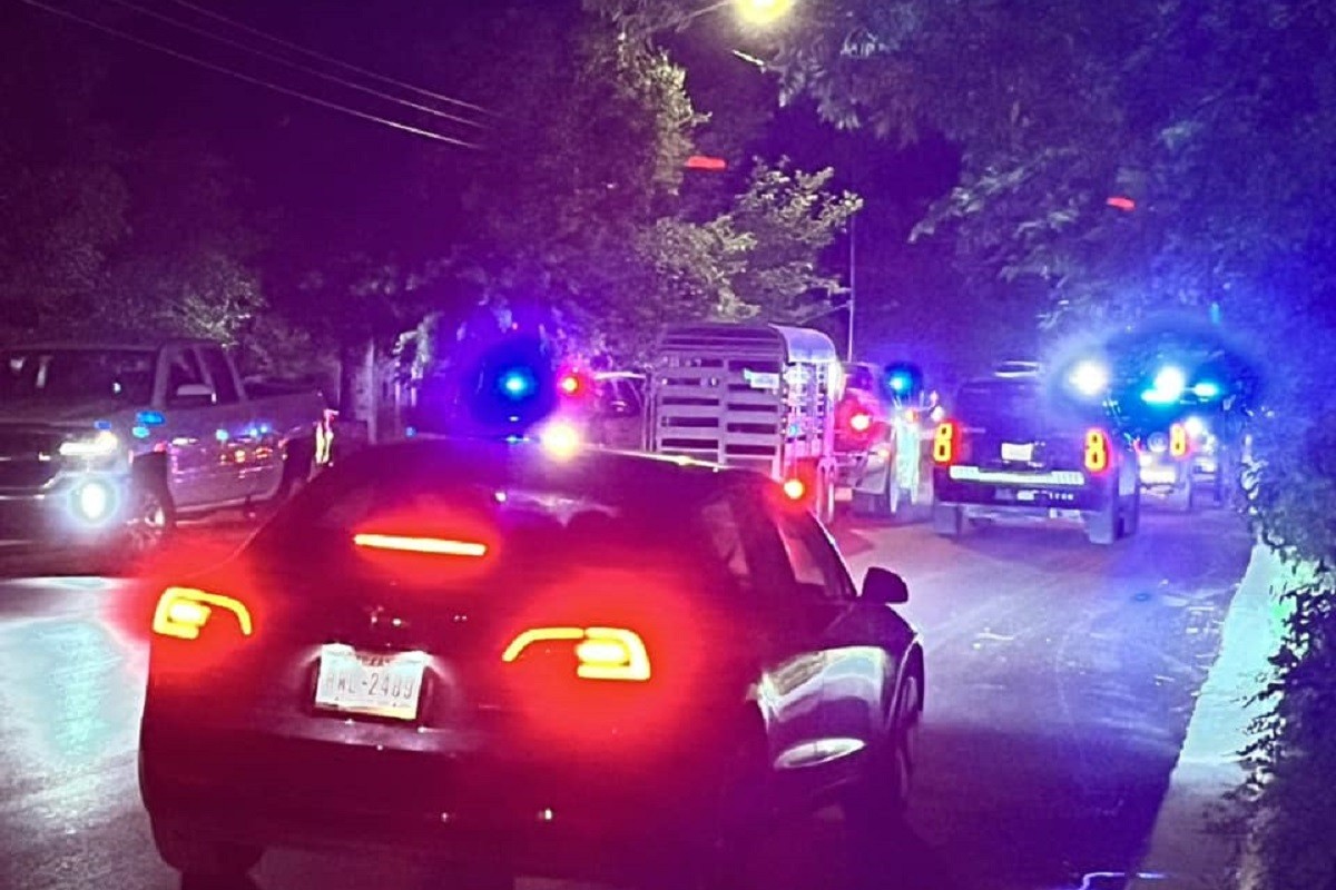 Odbjegli bik podigao cijeli grad na noge (VIDEO)