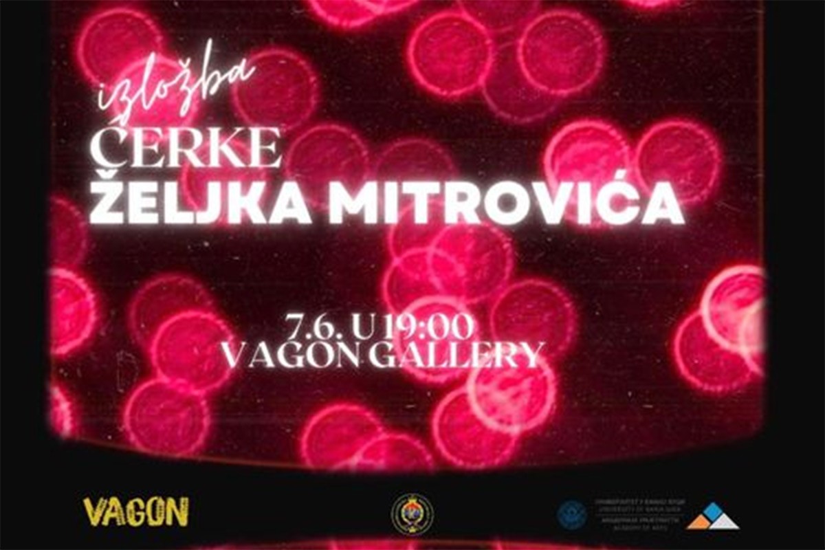 Izložba "Ćerke Željka Mitrovića" u banjalučkoj galeriji