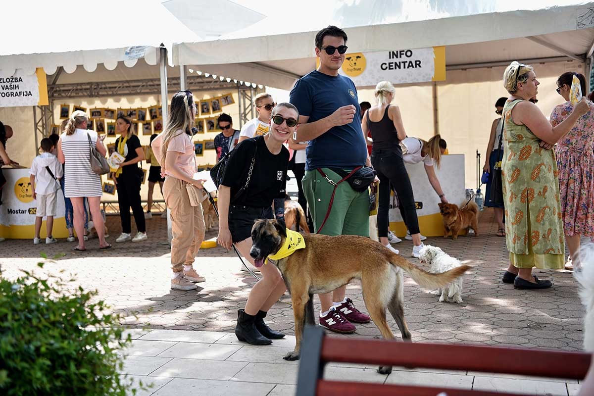 Dogs Trust u subotu 10.6. organizovao veliko druženje u Mostaru