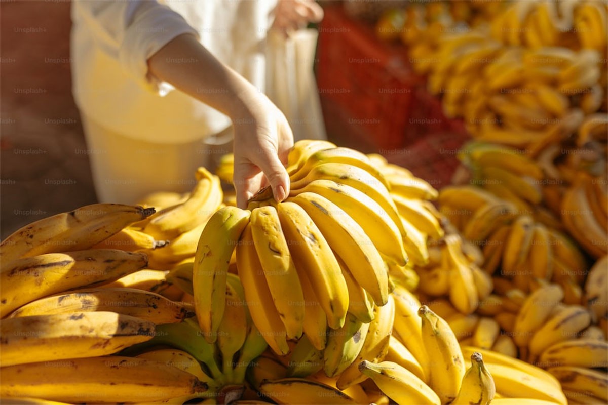 "Banana država": Kako je nastao ovaj pogrdan izraz