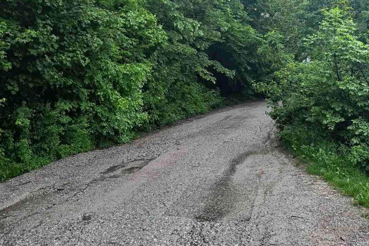 Lauš zarastao u travu, prijeti opasnost od zmija