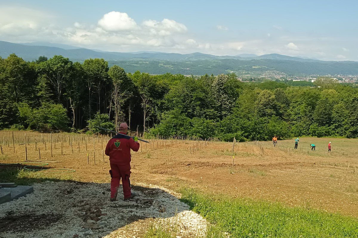 U rodnom Sanskom Mostu podiže vinograd po uzoru na one u Štajerskoj