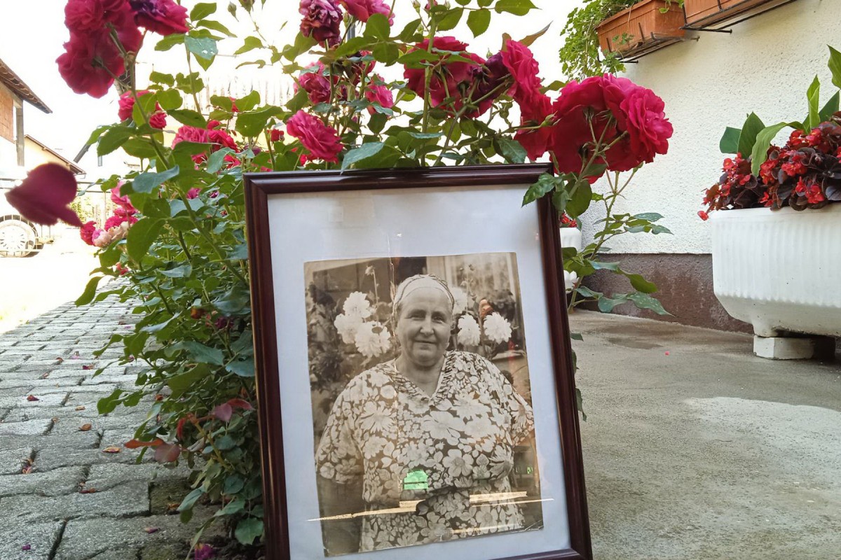 Sanski Most oduvijek bio poznat po lijepim baštama: Rajifine ruže i dalje cvjetaju