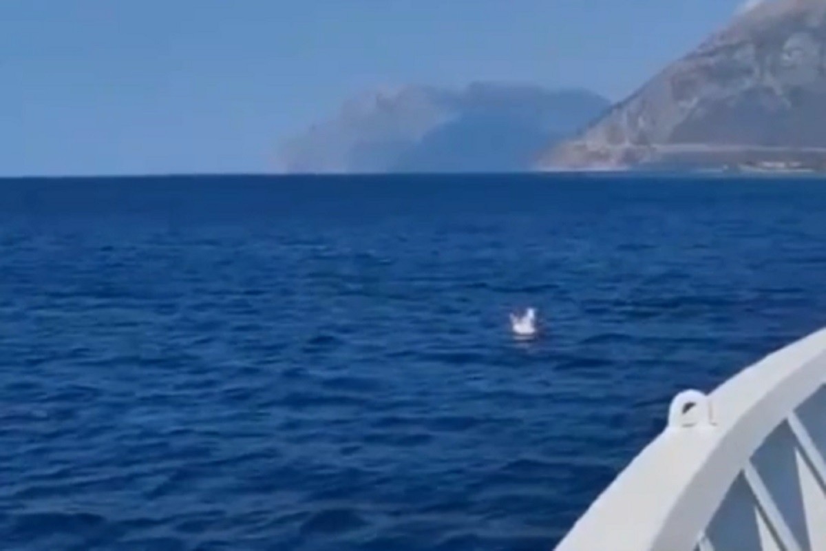 Dječaka (2) iz Srbije morska struja odnijela dva kilometra od obale (VIDEO)