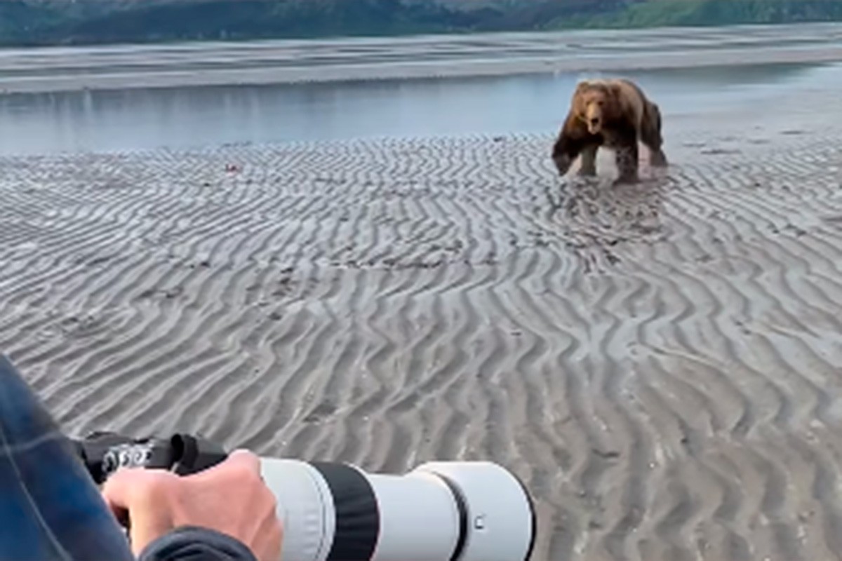 Medvjed pojurio prema turistima, pogledajte kako su se odbranili (VIDEO)