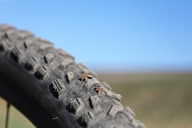 Biciklisti tokom trke naletjeli na eksere na putu