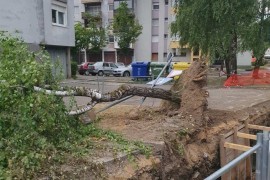 Nevrijeme u Hrvatskoj: Snažan vjetar lomio stabla (FOTO)