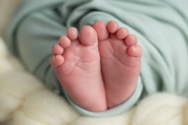 Rođene 23 bebe