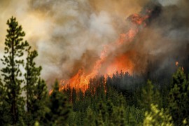 Vatrogasac nastradao u požaru, Kanada traži pomoć iz inostranstva