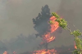 Veliki šumski požar na Kanarskim ostrvima (VIDEO)