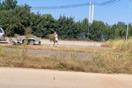 Došli na godišnji odmor u BiH pa kosili travu oko graničnog prelaza ...