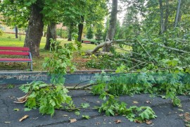 Snažno nevrijeme širom BiH: Vjetar čupao stabla, neki gradovi ostali ...