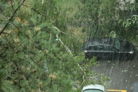 Oluja u Zagrebu, vjetar čupao drveće (VIDEO)