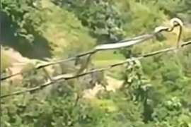 Nevjerovatan snimak iz BiH: Zmija se kreće po kablovima dalekovoda ...