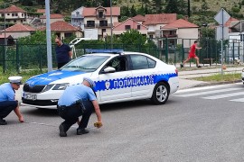 Većina vozača u Hercegovini savjesna i odgovorna