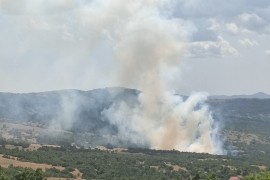 Požar izbio u bilećkom selu: Vatrogasci odbijaju vatru od kuća (FOTO)