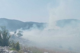 U velikom požaru kod Gacka stradale krave (FOTO)