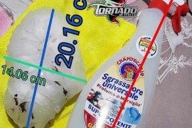 Evropski rekord: Pao grad od 19 centimetara (FOTO)