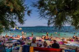 Drama na plaži u Hrvatskoj: Ptica napala dječaka, zamalo mu iskopala ...